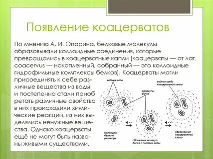 Что такое коацерваты
