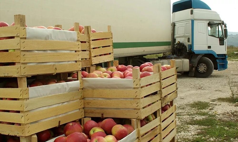 Товар молдова. Экспорт фруктов в Молдову. Фура с фруктами. Фура с овощами. Погрузка овощей и фруктов.