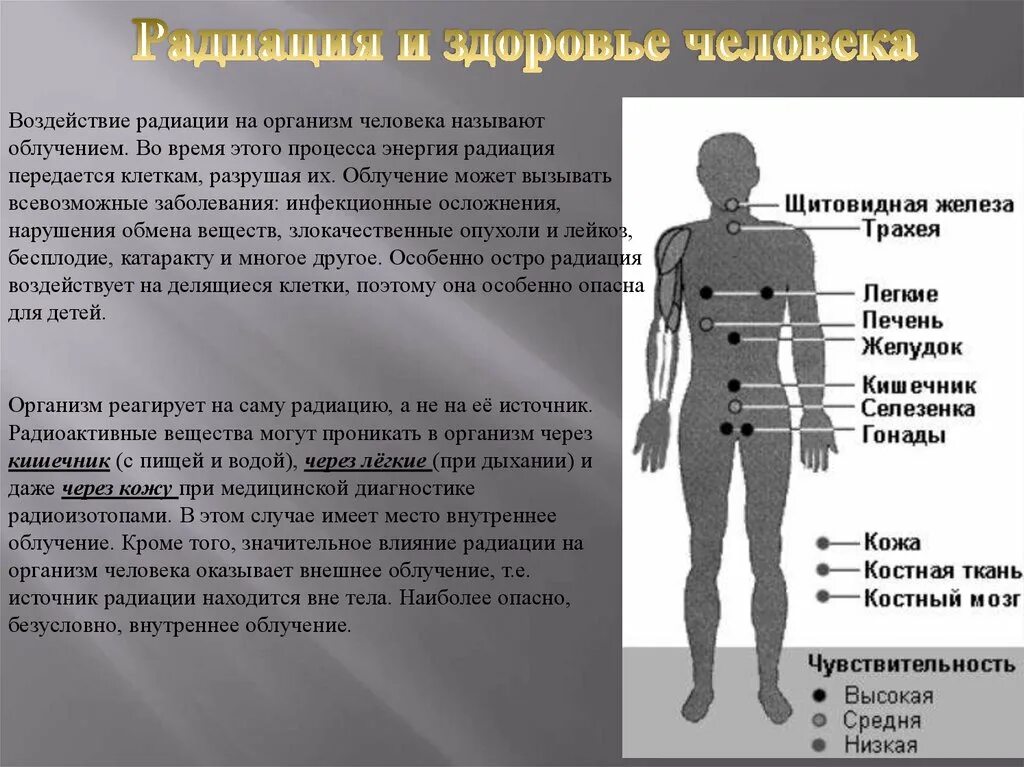 Что происходит с радиоактивными. Действие радиационного излучения на организм человека. Влияние радиации на органы человека. Воздействие радиоактивного излучения на человека. Влияние радиационного излучения на организм.