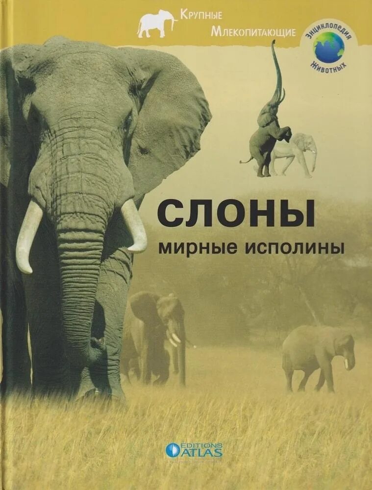 Книги про слонов. Книги о слонах. Энциклопедия про слона. Слон с книгой.