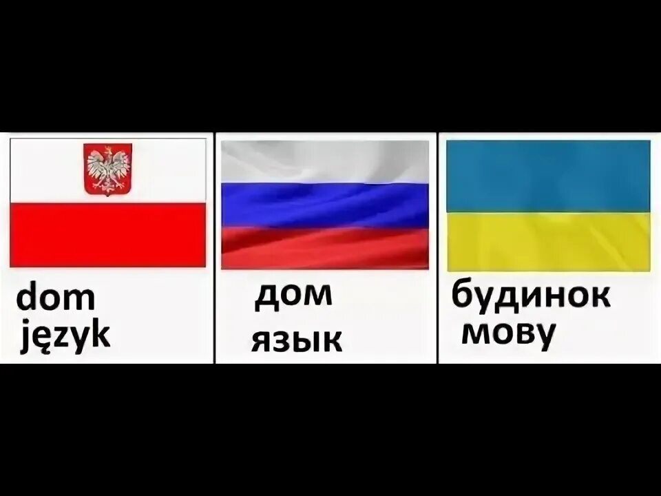 Польский похож на русский. Польский язык похож на русский. Языки похожие на польский. Сходство польского и украинского языков.