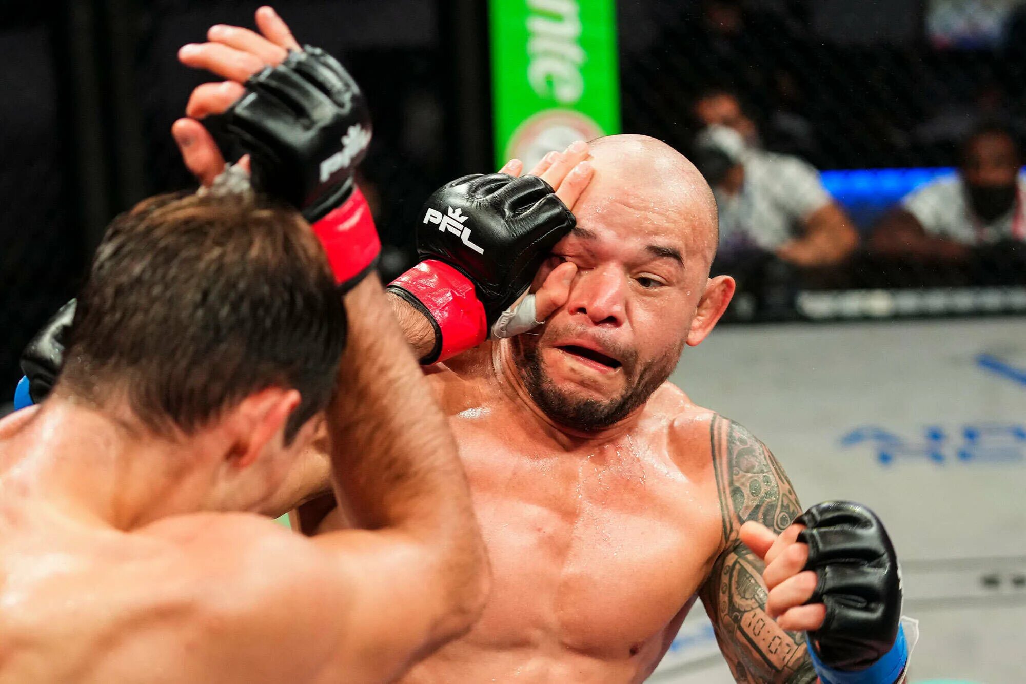 Конор 2 ultimate fight 31. Pfl против bellator. Юфс 288 кард. Pfl против bellator. Rory macdonald pfl.