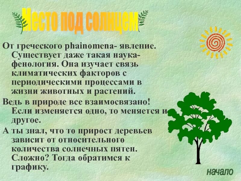 Фенология. Фенология цветок. Фенология для дошкольников. Что такое фенология в биологии 5 класс. Что изучает фенология