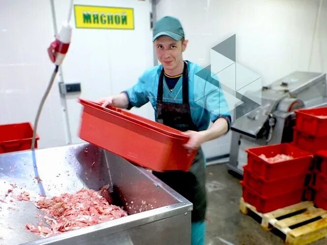 Айс продукт брянск. Директор айс продукт брянск. Прожарка котлеты для бургера по 8 минут. Профессии в брянске в советском районе. Айс групп.