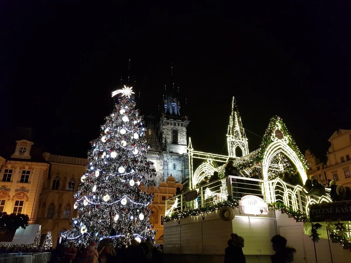 Рождество у католиков. Рождество по юлианскому календарю. Почему в европе рождество 25 декабря. С рождеством католическим. 25 декабря у католиков.