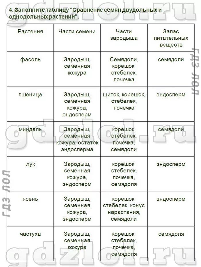 Заполнить таблицу однодольные и двудольные Урок 6: Систематика растений