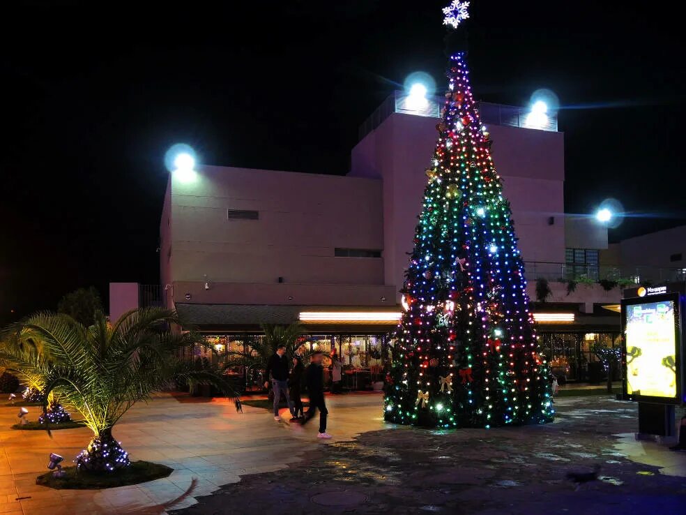 мероприятия в адлере на новый год. олимпийский парк адлер елка. мероприятия в адлере на новый год. терранова адлер. южный адлер на новый год фото.