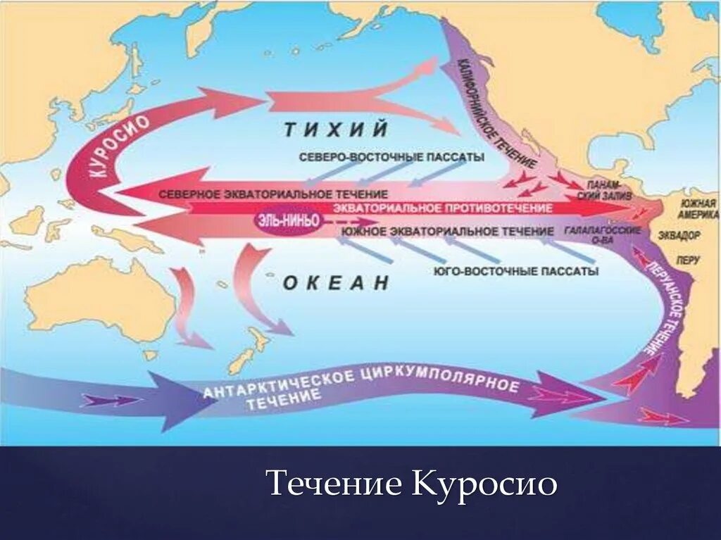 Течения по t воды. Течение в тихом океане Эль-Ниньо. Эль Ниньо перуанское течение. Тёплые течения Тихого океана Куросио. Перуанское течение в год Эль Ниньо.