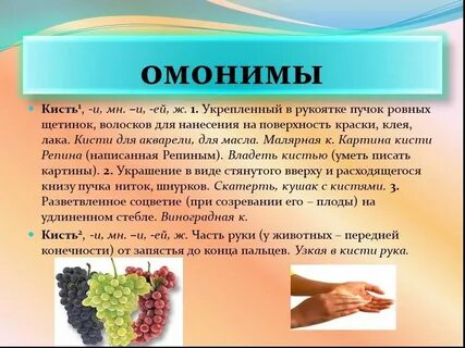 Значение омонимов кисть