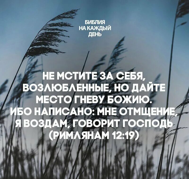 Что библия говорит о человек. Слова из библии. Что библия говорит о человек. Что библия говорит о человек. Что библия говорит о человек.