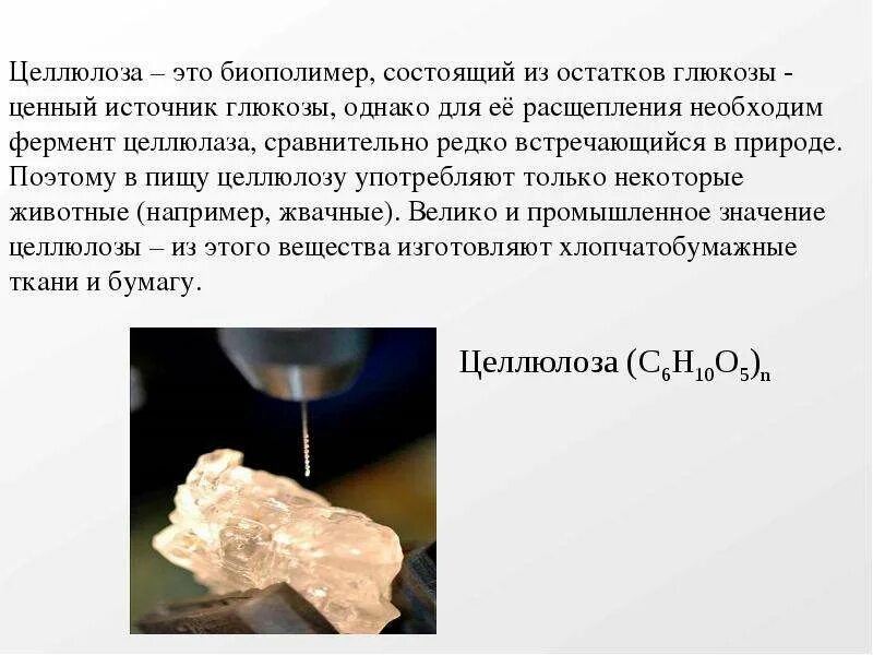 Целлюлоза сообщение по химии. Целлюлоза биополимер. целлюлоза содержится в. биополимеры состоящие из остатков. целлюлоза биополимер или нет.