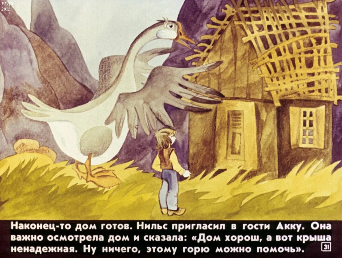 Гусь (с. Чудесное путешествие нильса с дикими гусями. "чудесное путешествие нильса с дикими гусями". Сельма лагерлеф чудесное путешествие с дикими гусями. Рассказ чудесное путешествие нильса с дикими гусями.