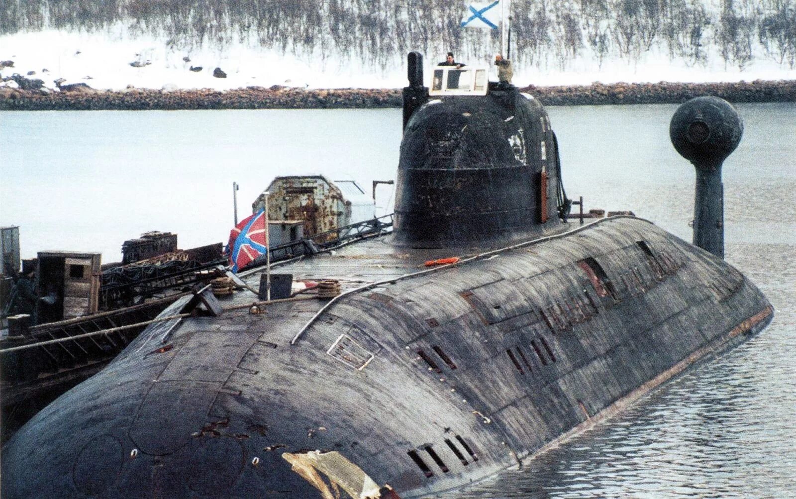 Пл зубр