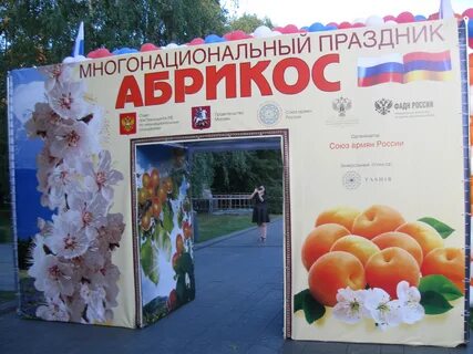 День абрикоса