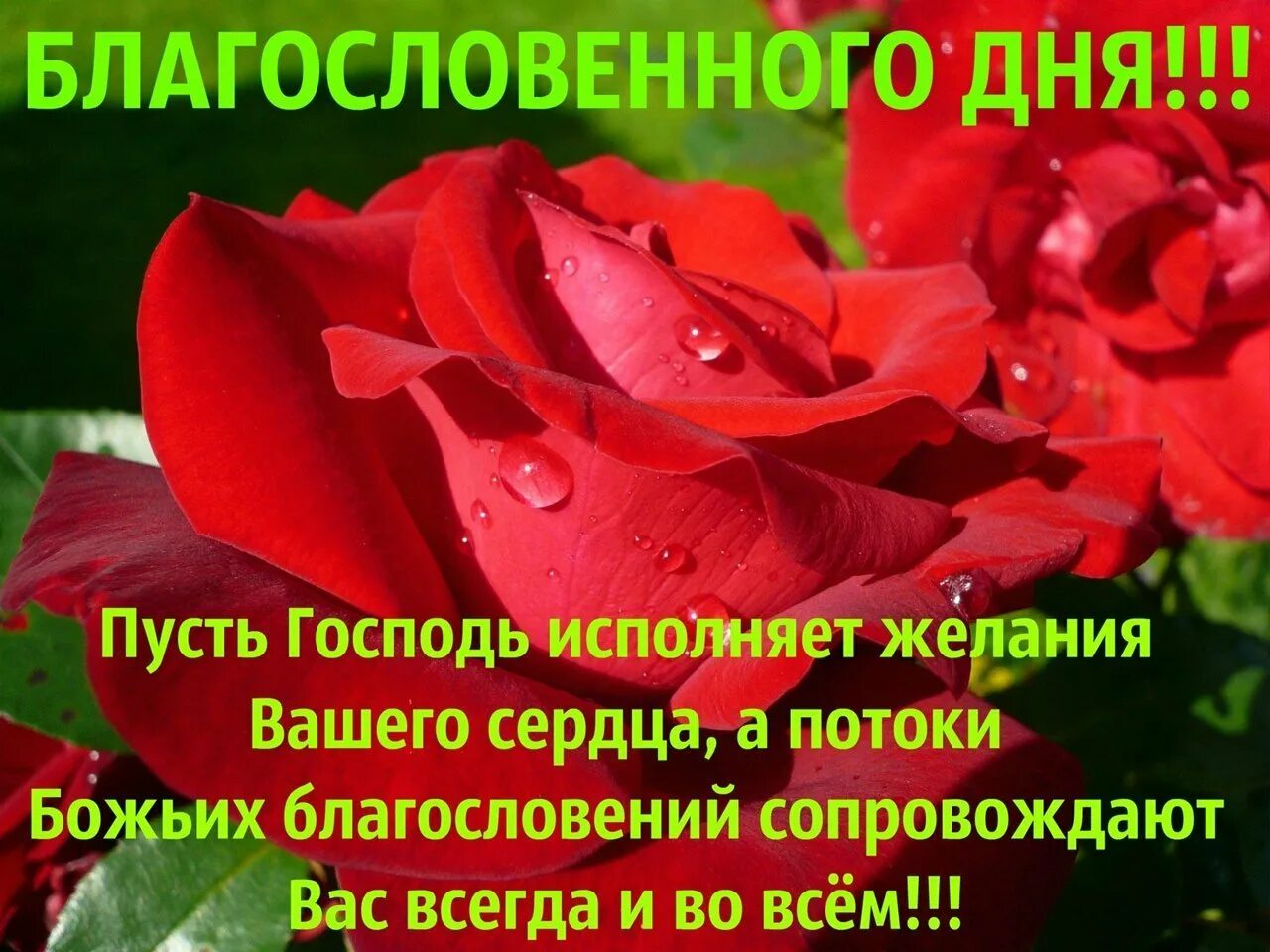 Доброе утро хорошего дня и благословения. Благословенного дня. доброгт благославеннтгт дня. благословенного бодрого дня. доброе утро благословенного дня.