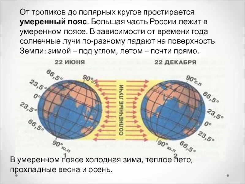 В каком поясе бывает полярный день