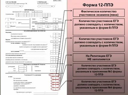 Форма ппэ 05 02 к заполненная