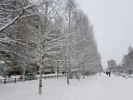 Снежный петрозаводск