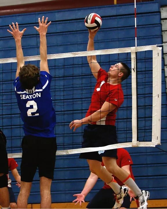 Женский волейбол. Игра в волейбол. Волейболисты девушки. Volley play. Спорт волейбол.