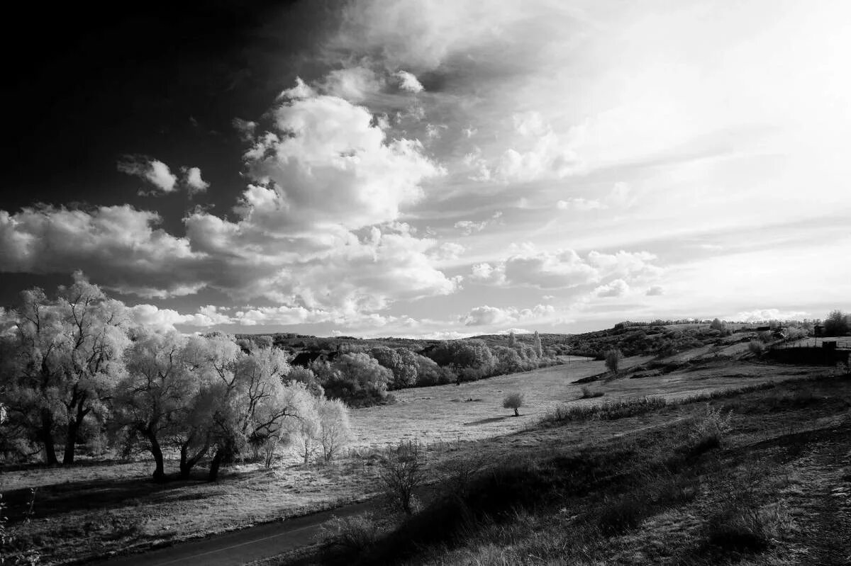 Чб картинки. Чёрно-белая фотография. Пейзаж фото. Ч/Б. Чб фото природы.