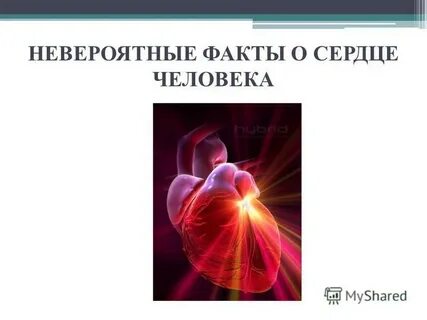 Почему человек сердце