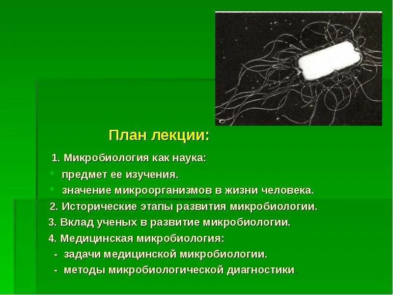 Микробиология темы для проекта Презентации по микробиологии темы