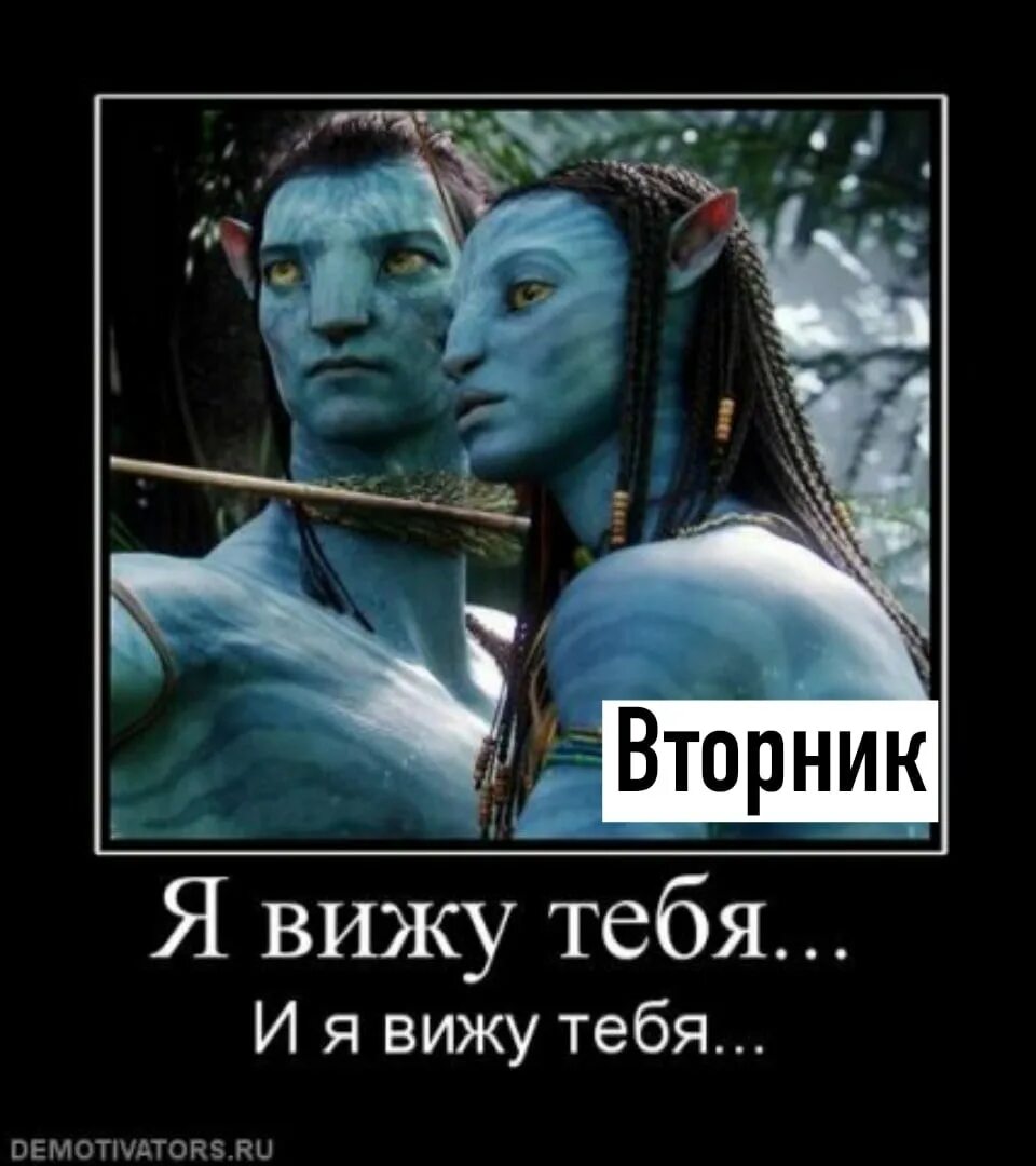 Что означает аватар. Я тебя вижу аватар. Фильм аватар я тебя вижу. Аватар прикол. Аватар фильм рисунки.