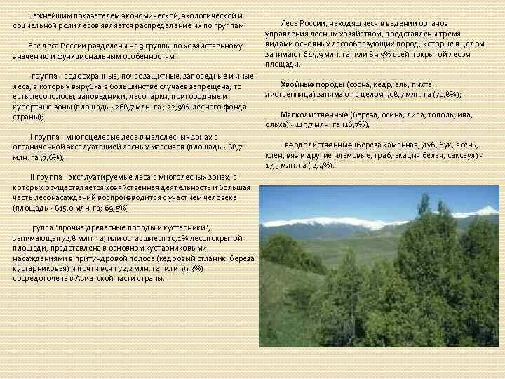 Три группы лесов. Группы лесов лесного фонда России. Экологической хозяйственная оценка роли лесов. Почвозащитная функция леса. Основные лесообразующие породы