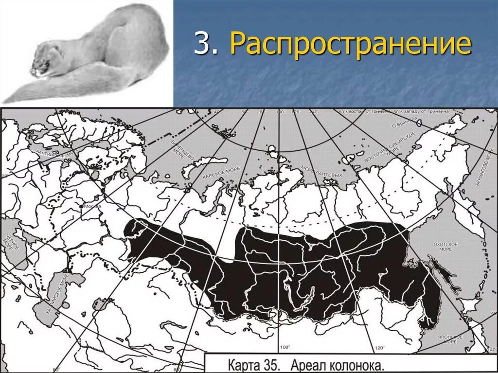 Ареал распространения оленьих пастбищ проведите границу