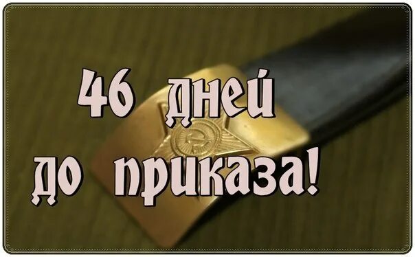 100 Дней до приказа. 100 Дней до приказа картинки. Осталось 2 дня до приказа. До приказа 125 дней. Слушать песню сто дней до приказа