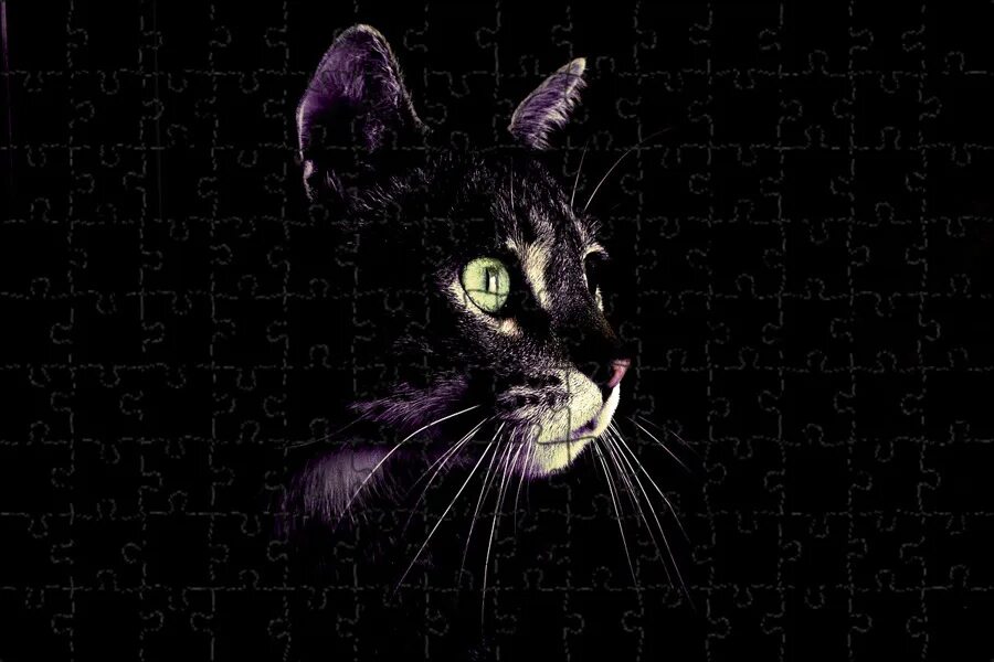 Mysterious KoT - VK Play Live