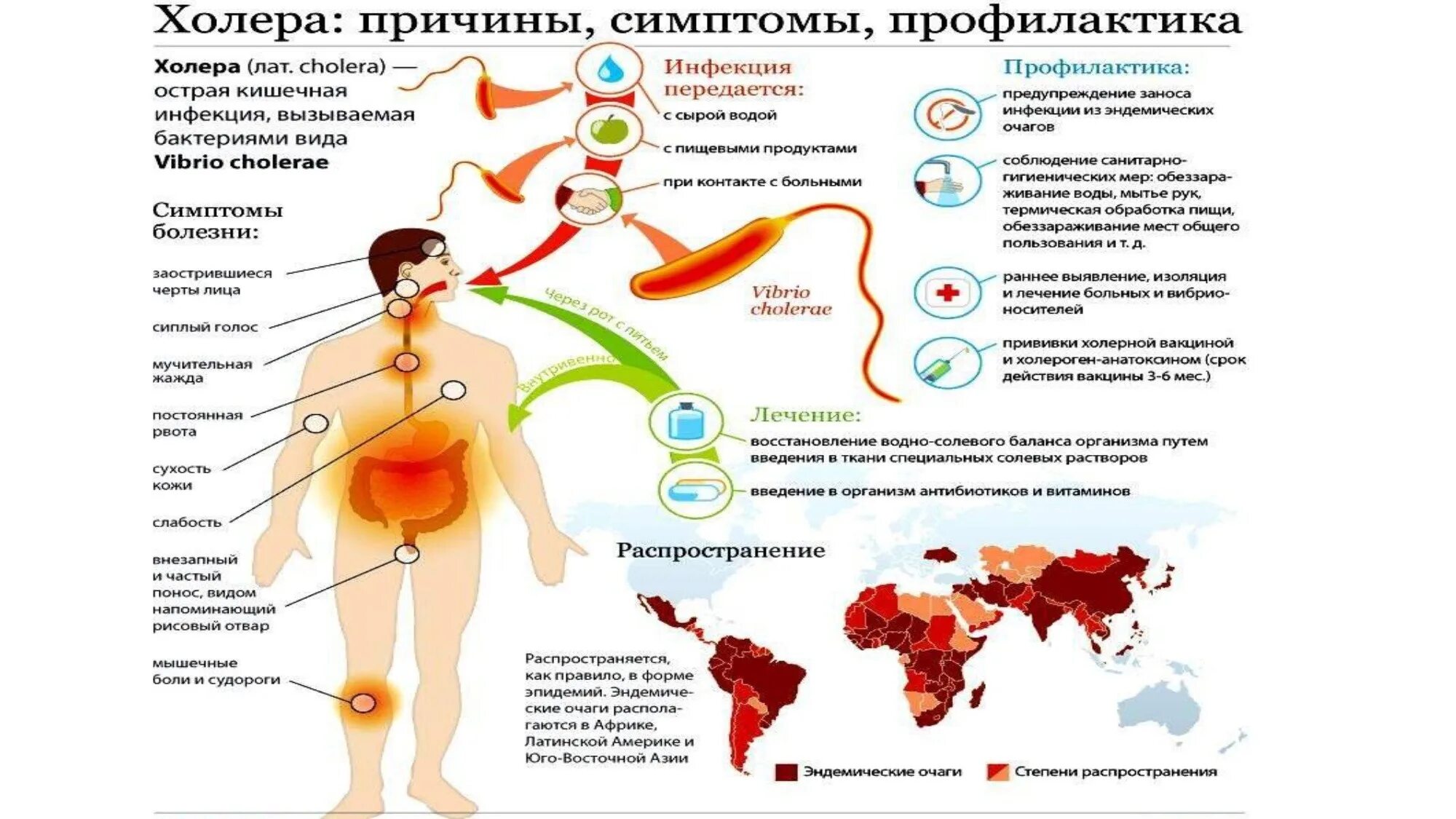 Есть ли холера. Холера симптомы памятка. Холерный вибрион пути передачи. Холерный вибрион признаки. Эпидемиология и профилактика холеры.