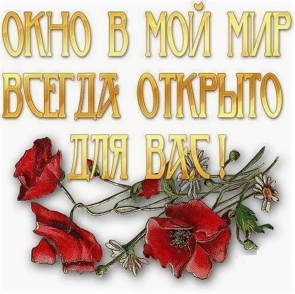 Спасибо всегда рады. Спасибо что зашли в гости. заходите в гости на страничку. спасибо всем кто зашел на мою страничку. открытки &quot; спасибо, что заходишь в гости&quot;.