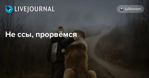 Прорвемся ответ