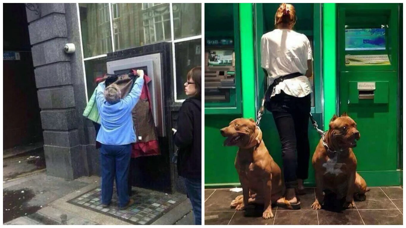 Собака у банкомата. Бабки у банкомата. Девушка возле банкомата с собаками. Банкомат прикол.