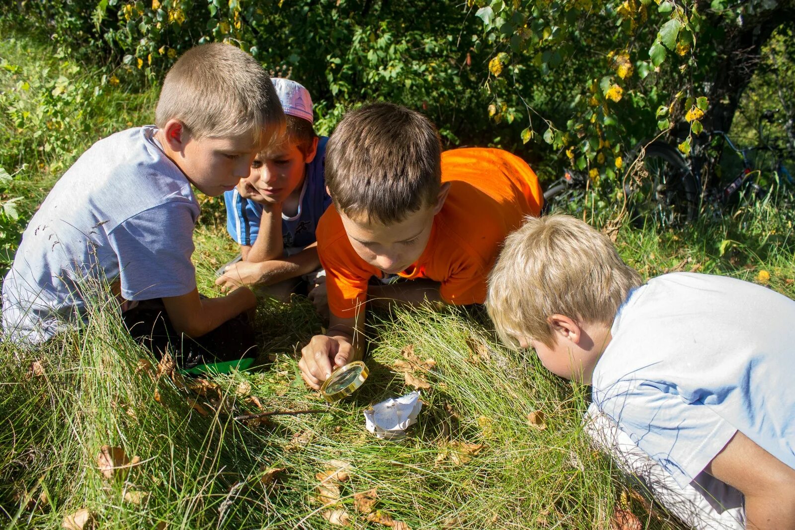 Летние наблюдения за природой. Наблюдение детей за природой. Дети наблюдают за природой. Наблюдение за природой летом. Организация наблюдения в природе