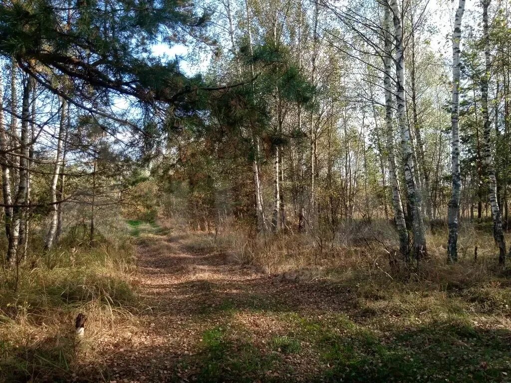 Деревня лопухи. Д.лопухи Рязанская область. Деревня лопухи Рязань. Деревня лопухи Рязанская область Рязанский район. Рязанский район Варсковское сельское поселение деревня лопухи.