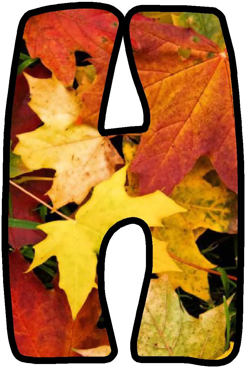 Leaves for school. Осенние буквы. Буквы в осеннем стиле. Осенние буквы русского алфавита. Буквы из осенних листьев.