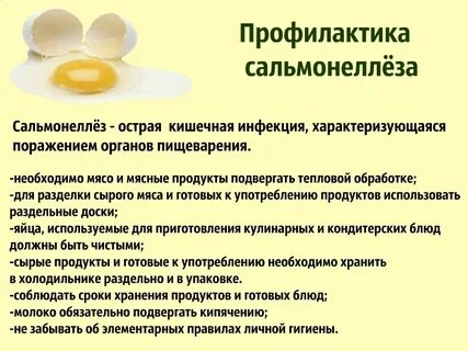 Сальмонелла заразна