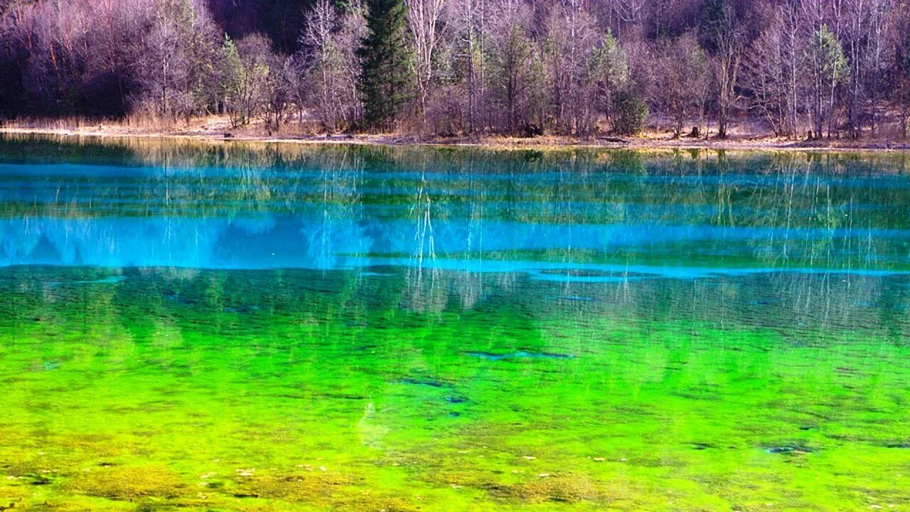 Озеро 5 см глубина. Озеро пяти цветков, Цзючжайгоу, Китай. Озеро пяти цветков Китай. Долина Цзючжайгоу Китай. Озеро 5 цветов в Китае.