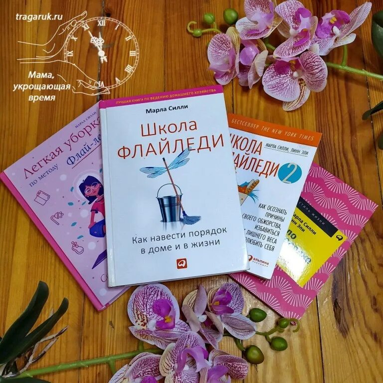 Flyladies. Марла Силли Флай леди. Школа Флайледи. Флай леди книга. Школа Флайледи книга.