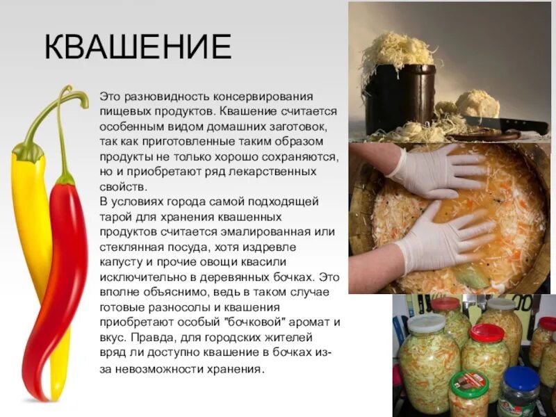 Разработка проекта консервации