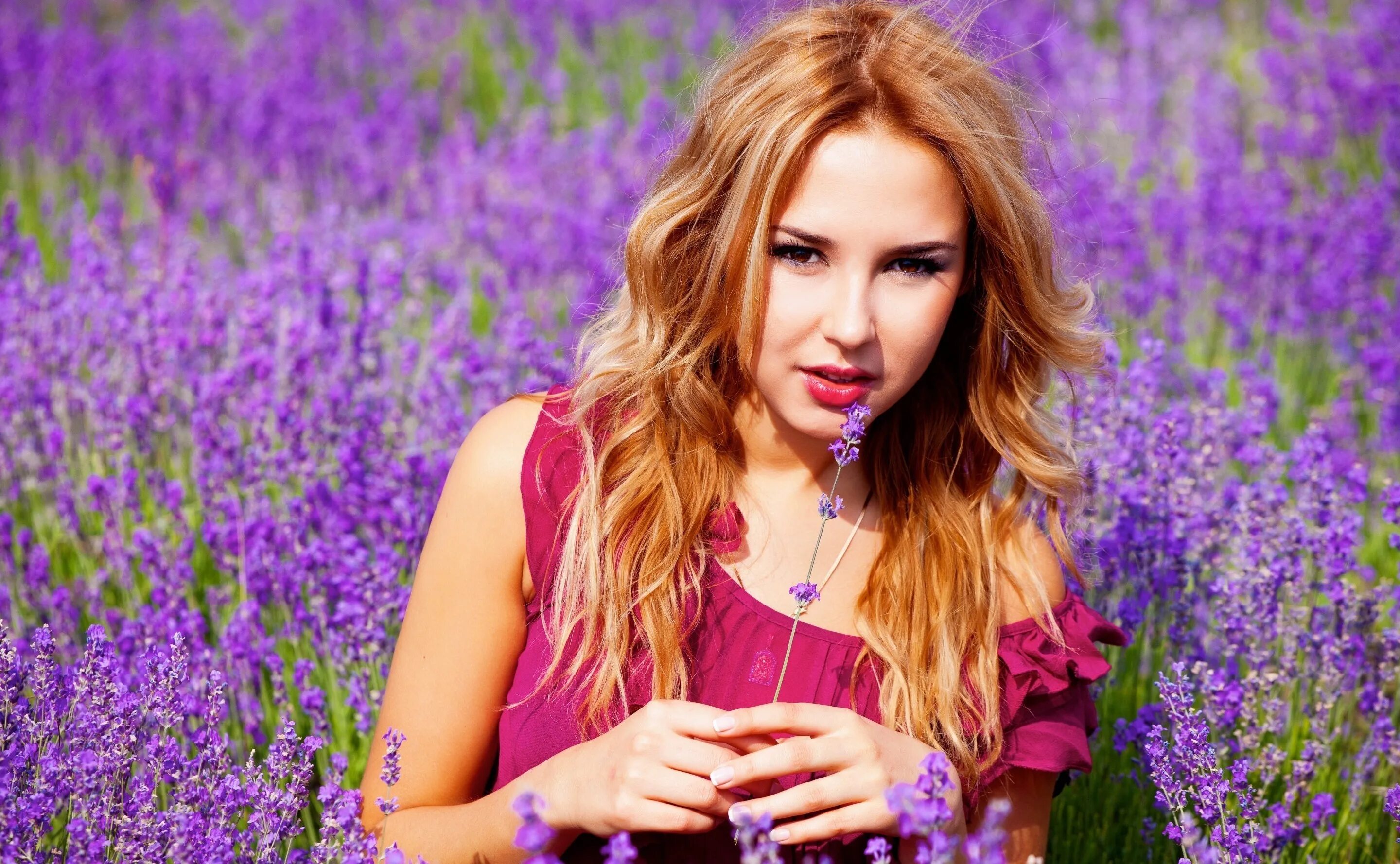 Purple models