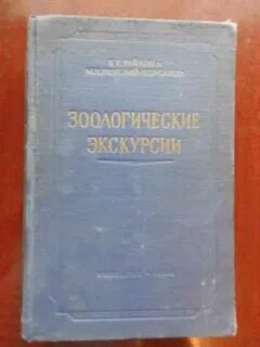 Б б корсаков