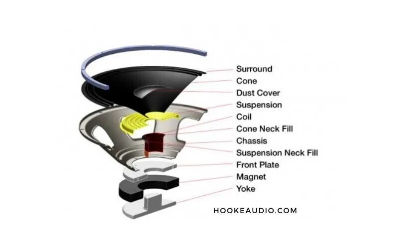 A speaker of the program. Спикер строение. cone in cone структура. parts of speaker. what is a speaker.