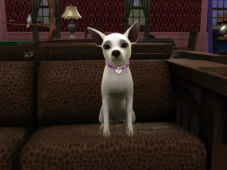 SIMS 3 Pets. The SIMS 3 Pets питомцы. Симс 3 собаки. Щенки the SIMS 3. Три питомцы