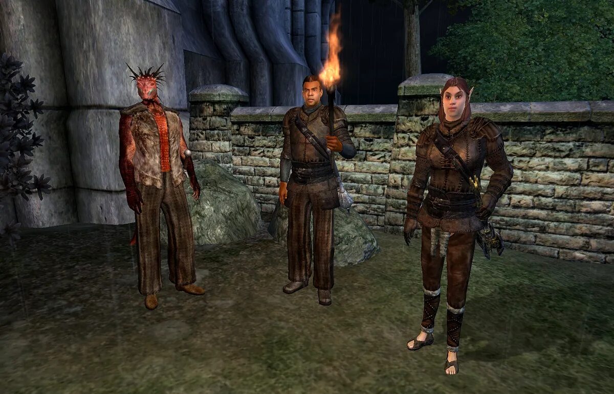 Фейри тейл вся гильдия. The sims медивал. The elder scrolls iv: oblivion гильдия воров. Представитель гильдии. Представитель гильдии.