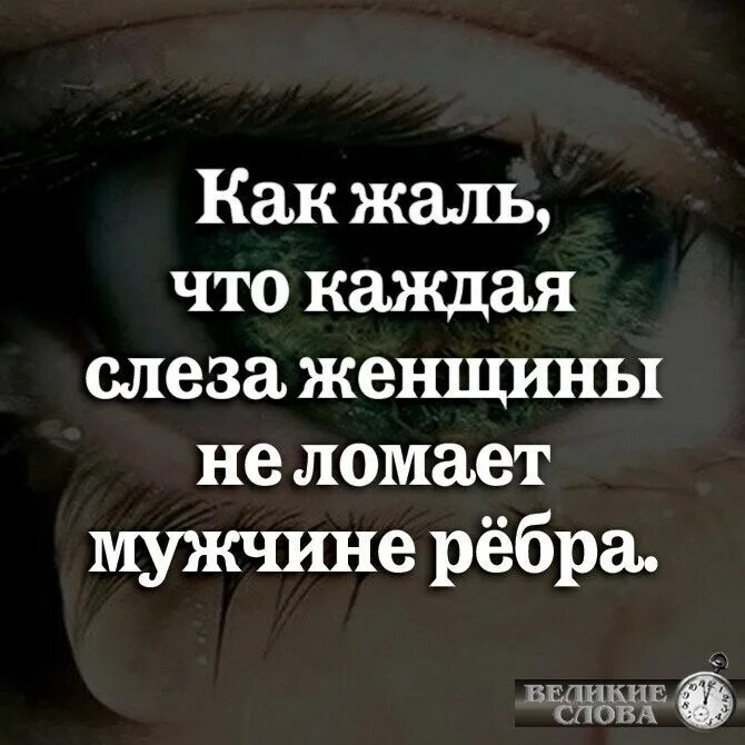 Слезы женщины цитаты. Жаль что каждая слеза женщины не ломает мужчине рёбра. Фразы про слезы женщин. Цитаты про слезы.