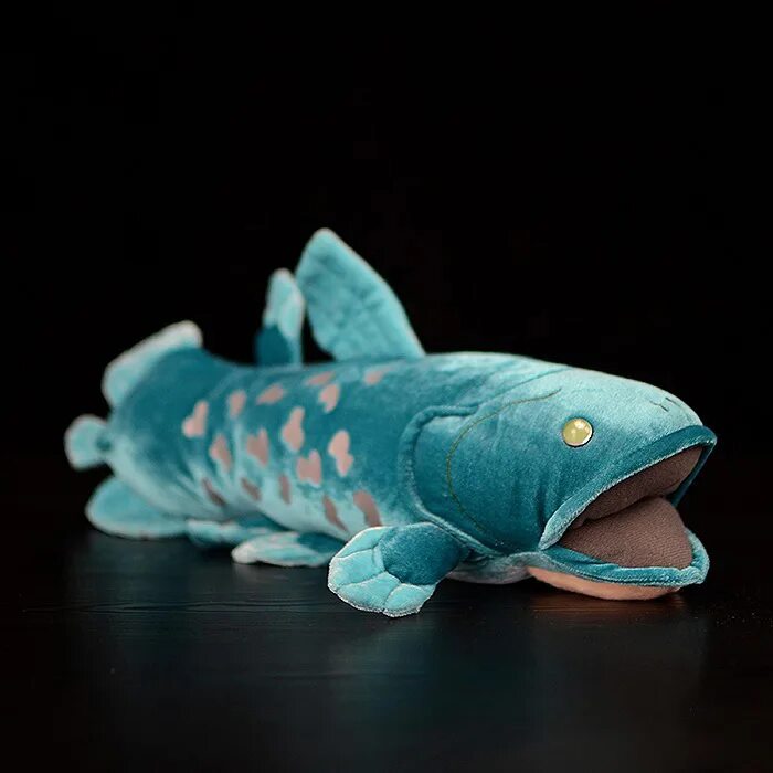 Целакант рыба. Мягкая игрушка рыба. Рыба игрушка мягкая реалистичная. Плюшевая рыба.
