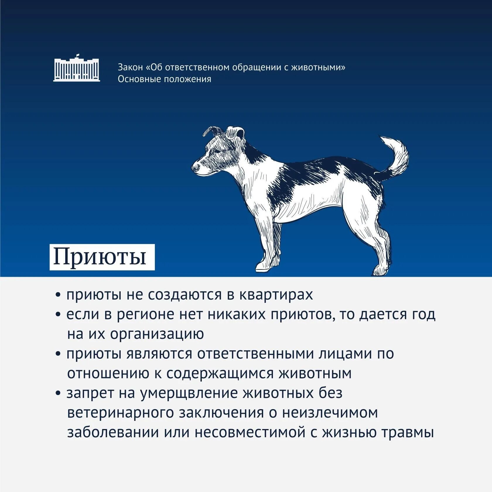 498 фз изменения 2023. Ответственное обращение с животными. Закон об обращении с животными. Закон по защите животных. Федеральный закон об ответственном обращении с животным.